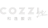 HOTEL COZZI和逸飯店│官網最優惠│線上快速訂房